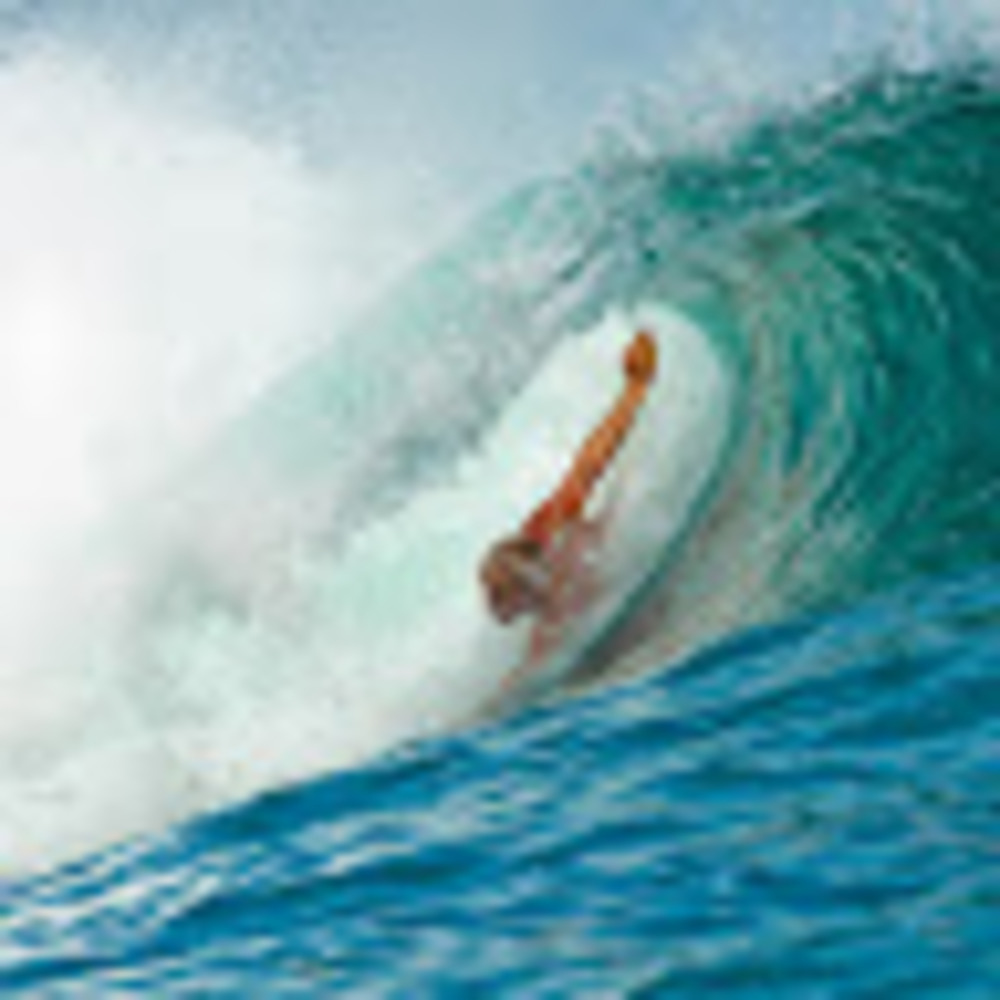 Meet your Posher, Austin